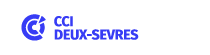 Logo CCI France