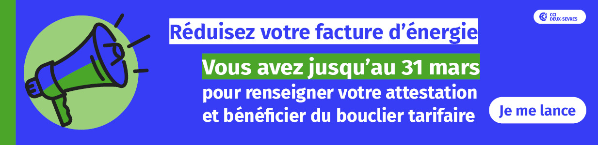 Bouclier tarifaire