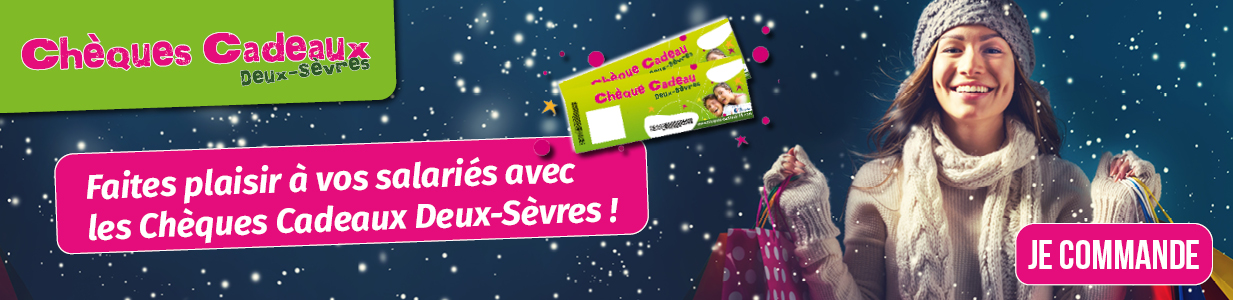chèques cadeaux cci 79 noel