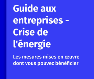 guide aux entreprises - crise de l'énergie