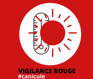 canicule à la une
