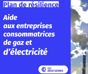 résilience - gaz - électricité