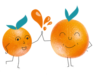 pulpe stage 2023