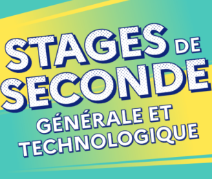stage seconde