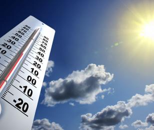 Canicule