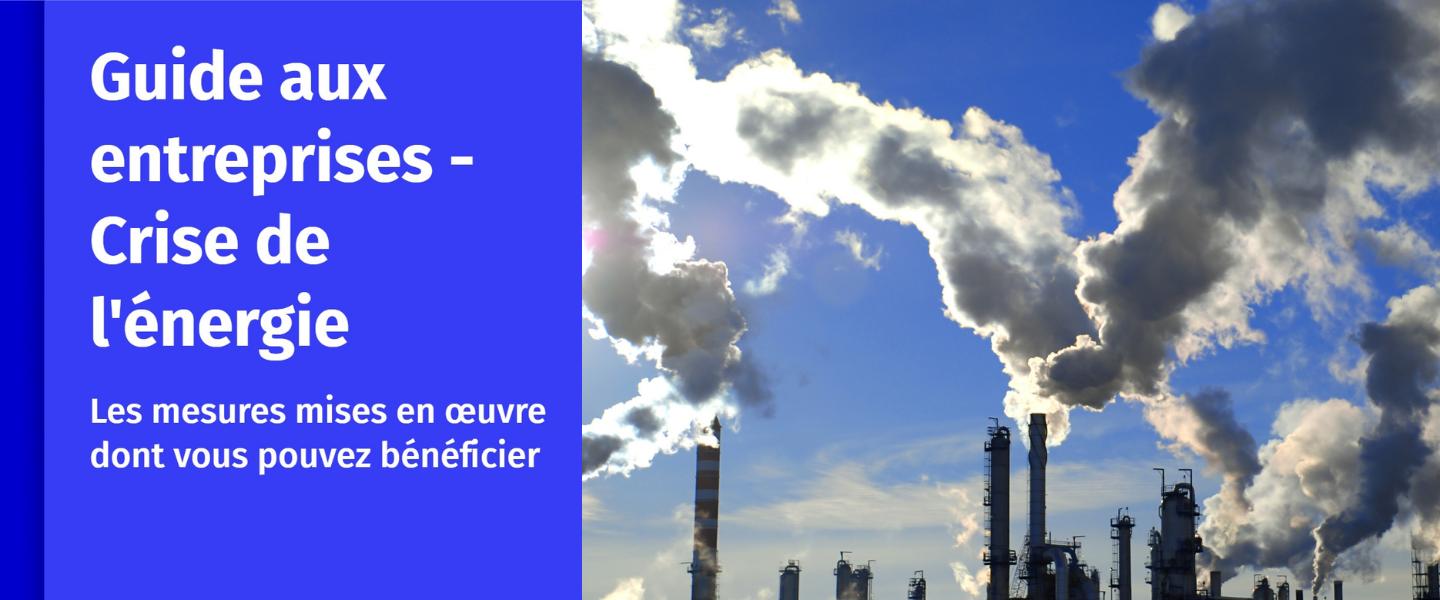 guide aux entreprises - crise de l'énergie