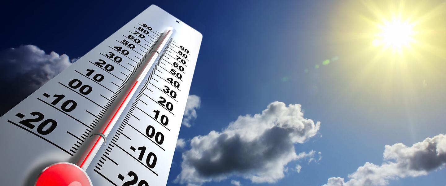 Canicule