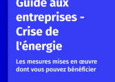 guide aux entreprises - crise de l'énergie