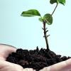 Visite conseil pour la protection et la restauration de la biodiversité