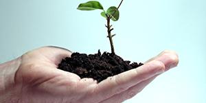 Qualité Environnement